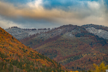 First snow covering autumn forest on mountain slope