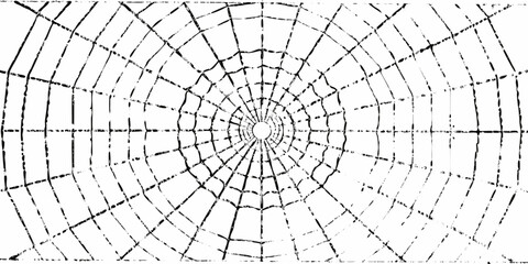 Abstract radial pattern of a black and white spider web with a distressed texture