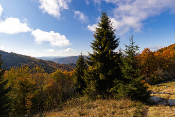 First snow covering autumn forest on mountain slope