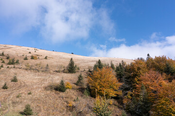 Panoramic view of autumn Carpathian mountains under cloudy sky