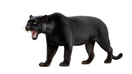 Black Panther: Majestic and powerful, a sleek black panther stands, revealing its sharp teeth and commanding presence in a dynamic pose.