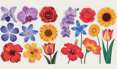 Floral Forms A Study in Symmetry, Floral Forms, Study in Symmetry, Symmetrical Floral Design, Botanical Patterns, Flower Symmetry, Nature Geometry, Floral Illustration, Botanical Art,