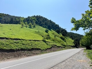 road in the mountains