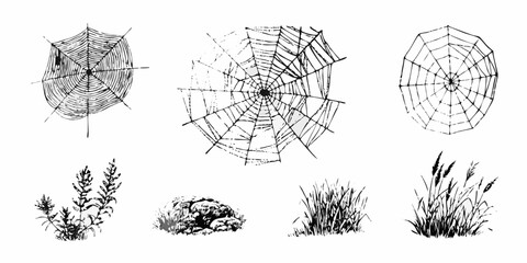 Collection of hand drawn black and white spiderwebs grasses rocks and plants elements