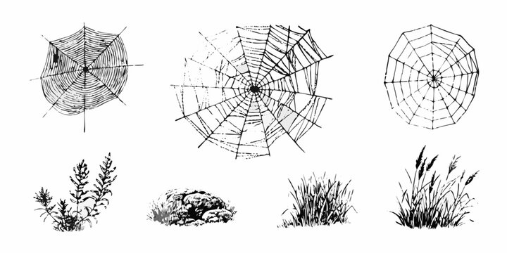 Collection of hand drawn black and white spiderwebs grasses rocks and plants elements