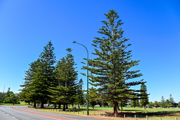 オーストラリアのパース郊外にある公園の風景