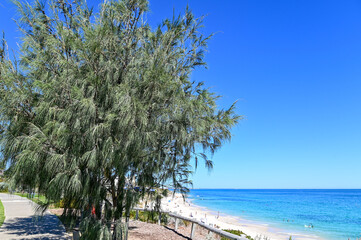 オーストラリア西海岸のパースにあるビーチのとても美しい風景