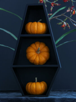 Spooky Halloween coffin shelf with pumpkins with a dark background and space for text overlay. Suitable for Halloween background, wallpaper or screensaver.