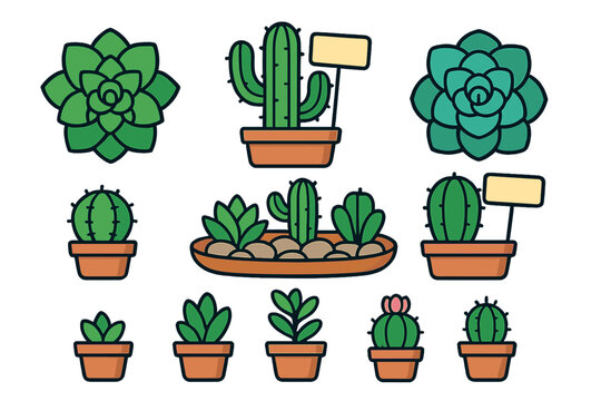 Various potted desert plants, including cacti and succulent rosettes in terracotta pots