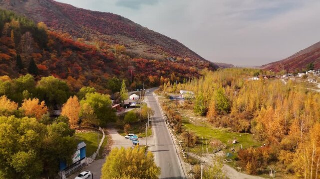 Aerial view panorama of yellow autumn forest in Almaty