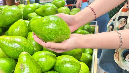 woman hands holding fresh avocado