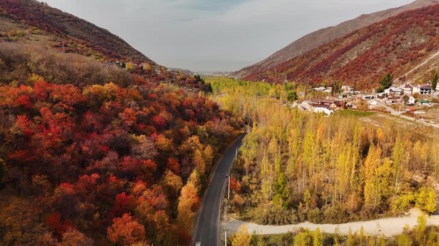 Aerial view panorama of yellow autumn forest in Almaty