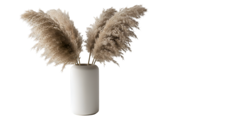 Elegant pampas grass arrangement in a minimalist white vase, perfect for interior design, home decor, and lifestyle branding projects, bringing a touch of nature inside.
