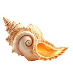 Obraz premium Realistic Conch Shell with Spiral Structure and Warm Orange Interior – Textured Marine Design on White Background
