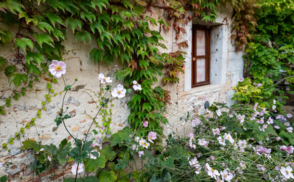Un angolo dei giardini fioriti presso i castelli di Strassoldo in Friuli Venezia Giulia, in autunno