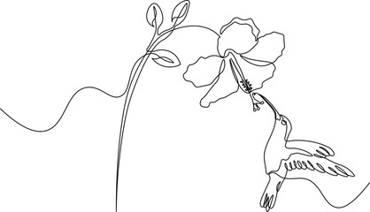 Abstract Hummingbird Drawing in One Line. Flying Bird and Floral Outline Design