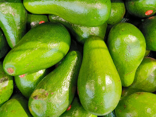 Fresh green avocados piled together in a market, showcasing their smooth shiny skin and natural texture.