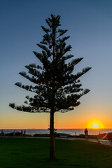 オーストラリア西海岸で眺めるインド洋の超絶景な夕暮れ