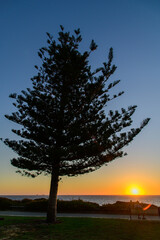 オーストラリア西海岸で眺めるインド洋の超絶景な夕暮れ