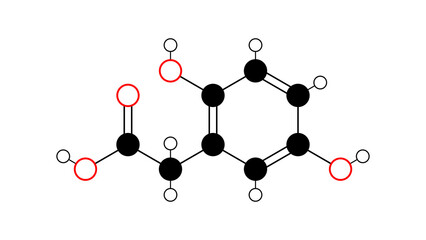 homogentisic acid molecule, structural chemical formula, ball-and-stick model, isolated image tyrosine metabolite