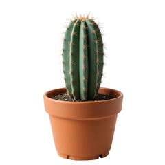Upright Green Cactus With Sharp Spines Planted Inside A Terracotta Pot Isolated Against A Solid Transparent Background
