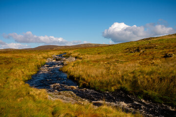 Flowing Stream Across Golden Moorland in Snowdonia, Wales