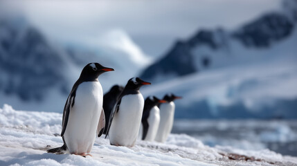 Group of gentoo penguins standing on snowy Antarctic terrain with icy mountains and glaciers in the background. Gentoo penguins, Antarctica, wildlife, polar nature, penguin colony,