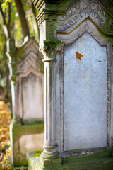 Zabytkowy cmentarz żydowski w Warszawie, Jesień w Warszawie. © hunter76