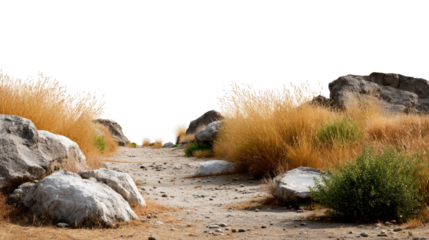 Pathway to the Horizon: A winding stone path leads the eye through a rugged, grassy terrain towards the horizon, framed by weathered rocks and rustic foliage.