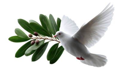 Dove of Peace: A pristine white dove, bearing an olive branch, symbolizing hope, peace and tranquility. A timeless emblem of unity, harmony, and goodwill.
