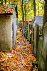 Zabytkowy cmentarz żydowski w Warszawie, Jesień w Warszawie. © hunter76