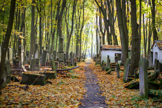 Zabytkowy cmentarz żydowski w Warszawie, Jesień w Warszawie.