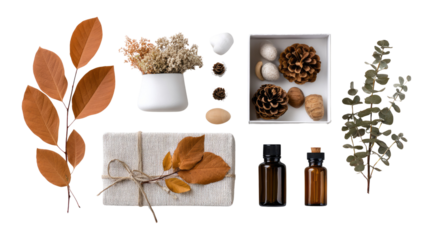Autumnal Still Life: A curated collection of natural elements and earthy tones, capturing the essence of the season with dried leaves, flowers, and aromatic oils.