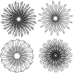 Abstract floral designs featuring intricate black line art  