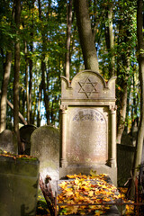 Zabytkowy cmentarz żydowski w Warszawie, Jesień w Warszawie. © hunter76