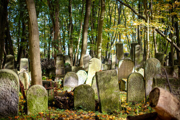 Zabytkowy cmentarz żydowski w Warszawie, Jesień w Warszawie. © hunter76