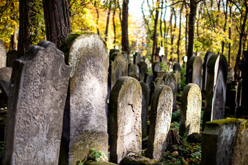Zabytkowy cmentarz żydowski w Warszawie, Jesień w Warszawie. © hunter76