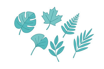 Diverse botanical leaf shapes from tropical and deciduous plants in a simple flat graphic style