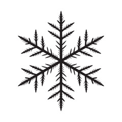 Detailed Snowflake Ice Crystal Vector Ornament Winter Season Pattern