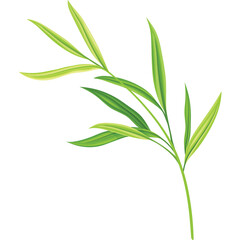 Delicate Green Leafy Branch with Subtle Yellow Tones Against a Clean White Background with a Transparent Overlay