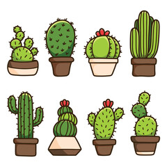 Cactus in simple pot - Exotic and tropical desert plants