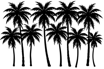 Tropical Palm Tree Silhouette Vector Collection Isolated on White Background