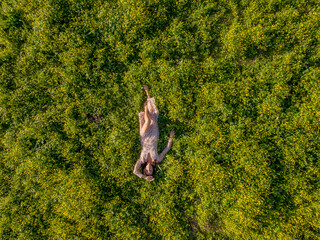 Tranquil Elegance: Young Brunette Lingerie Model Embraces Serenity in a Sunlit Field