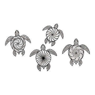Stylized sea turtles vector illustration, intricate swirling shell patterns, aquatic animal art