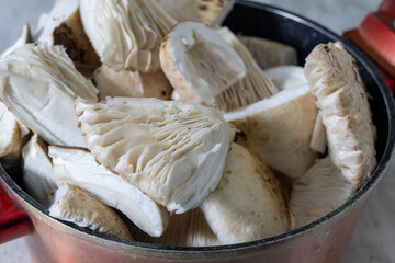 Macrolepiota procera. Freshly cut mushrooms in a pot, ready for cooking, close-up view.