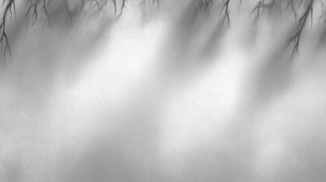 Sunlight filtering through transparent leaves creating shadows on a soft background