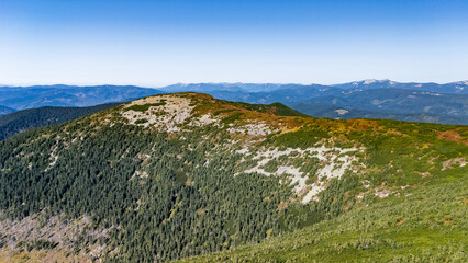 Drone panorama of Carpathian peaks covered with alpine vegetation and pine forests, bathed in sunlight — a serene view of Ukrainian wilderness