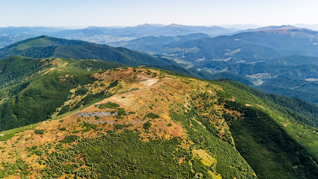 Drone view of Carpathian ridge with soft green slopes and alpine vegetation stretching into the horizon — a breathtaking example of wild mountain beauty