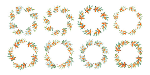 Sea buckthorn. Autumn berry watercolor circle frame. Round frame of autumn berries. Sea buckthorn. Berries have different shapes and are arranged in a circle. Vector square isolated on white backgroun