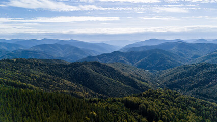 Drone aerial view of mountain ridges and valleys covered with dense forests and glowing sunlight, capturing the natural rhythm of the Carpathians
